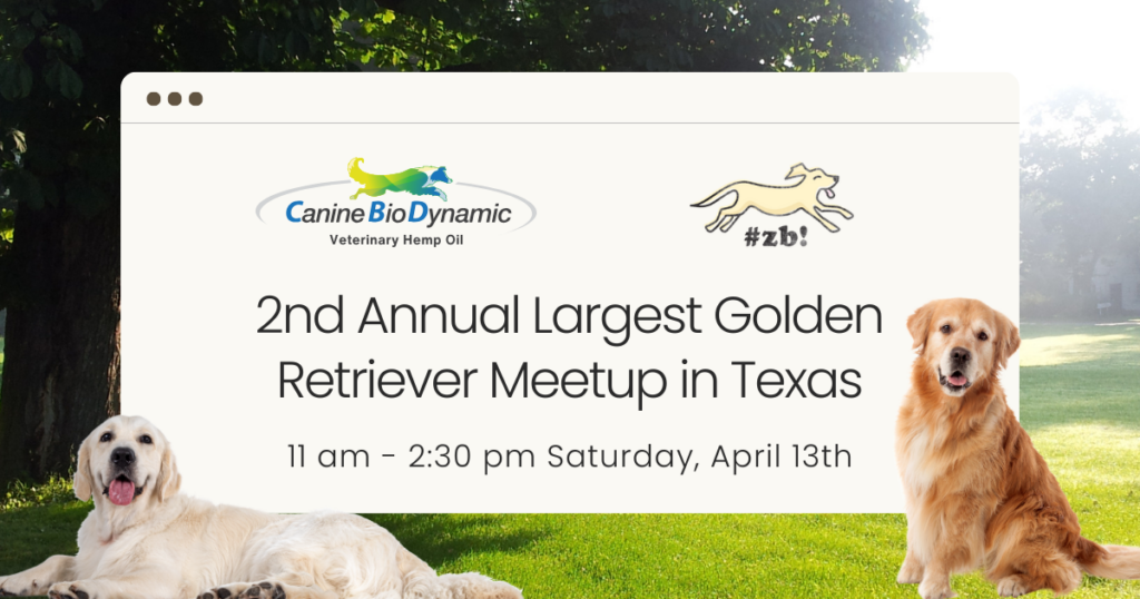 Join us for the second annual Largest Golden Retriever Meetup in Texas at Lustre Pearl South on Saturday, April 13th!